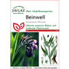 SAMEN BEINWELL