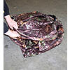 TARNZELT Bild 5