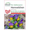 Auf diesem Bild sehen Sie das Produktbild 1 fr PFLANZENSAMEN HORNVEILCHEN-MIX