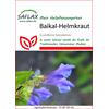 Auf diesem Bild sehen Sie das Produktbild 1 fr PFLANZENSAMEN BAIKAL HELMKRAUT