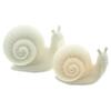 PORZELLAN-SCHNECKEN WHITE MIT LED-BELEUCHTUNG 2ER SET Bild 4