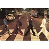 BLECHSCHILD FAB4 ABBEY ROAD 20 x 30 CM