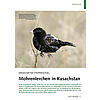 RTSELHAFTER STEPPENVOGEL: MOHRENLERCHEN IN KASACHSTAN