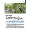 KURIOSE SAMMLUNG: VERWECHSLUNG ODER UNKENNTNIS VON VOGELARTEN
