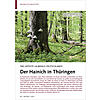 DER GRSSTE LAUBWALD DEUTSCHLANDS: DER HAINICH IN THRINGEN
