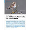 VOGELWELT AKTUELL: WINTER 2018 /2019: VON REBHHNERN, ROT DROSSELN UND TROTTELLUMMEN