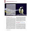 ORNITHLOGIE AKTUELL JUNI