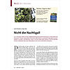 BILD DES MONATS: AUFLSUNG VOM MAI: NICHT DIE NACHTIGALL
