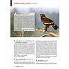 ORNITHOLOGIE AKTUELL JULI