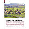 ERFOLGREICHER SCHUTZ VON WIESENBRTERN: WIESEN- ODER WEIDEVGEL?