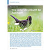 FRHJAHR 2019: WIE VERLIEF DIE ANKUNFT DER ZUGVGEL?