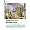NATURBEOBACHTUNGEN IN DER STADT: VGEL AM BALKON