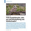 SOMMER 2019: VIELE SUMPFOHR EULEN, ABER WO SIND WACHTEL KNIG UND WALDSCHNEPFE