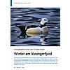 VOGELBEOBACHTUNG AUF 70 GRAD NORD: WINTER AM VARANGERFJORD