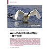 EINSTIEG IN DIE VOGELBEOBACH- TUNG: WASSERVGEL BEOBACHTEN - ABER WIE?