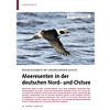 RCKZUGSGEBIETE MIT UNGENGEN- DEM SCHUTZ: MEERESENTEN IN DER DEUTSCHEN NORD- UND OSTSEE