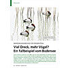 NAHRUNGSGRUNDLAGE FR WASSER- VGEL: VIEL DRECK, MEHR VGEL? EIN FALLBEISPIEL VOM BODENSEE