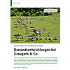 MONITORING VON GNSEN IM SOMMER: BESTANDSENTWICKLUNGEN BEI GRAUGANS & CO.