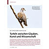 DIE TURTELTAUBE IN DER KULTUR: TURTELN ZWISCHEN GLAUBEN, KUNST UND WISSENSCHAFT