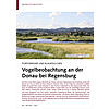 PURPURREIHER UND BLAUKEHLCHEN: VOGELBEOBACHTUNG AN DER DONAU BEI REGENSBURG
