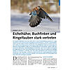VOGELWELT AKTUELL: HERBST 2019 EICHELHHER, BUCHFINKEN UND RINGELTAUBEN STARK VERTRETEN