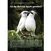VOR 15 JAHREN IN DER NATUR AUSGESTORBEN: IST DER BALISTAR HEUTE GERETTET?