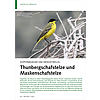 KOPFFRBUNGEN UND INDIKATORFLU G: THUNBERGSCHAFSTELZE UND MASKENSCHAFSTELZE
