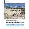 INSELN BER UND UNTER DEM WIND DIE VOGELWELT DER KAPVERDEN