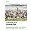 STROMBAUWERK UND VOGELINSEL: MINSENER OOG