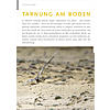 FOTOGALERIE: TARNUNG AM BODEN