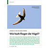 HHER ALS WIR SIE SEHEN KNNEN WIE HOCH FLIEGEN DIE VGEL?