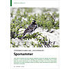STEPPENBEWOHNER UND HOCHSPRIN GER: SPORNAMMER