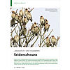 SIEGELWACHS UND VOGELBEEREN: SEIDENSCHWANZ
