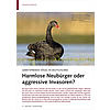 GEBIETSFREMDE VGEL IN DEUTSCH LAND: HARMLOSE NEUBRGER ODER AGGRESSIVE INVASOREN?