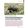 WASCHBR, MARDERHUND UND MINK: SIND NEOZOISCHE RAUBSUGER EIN ERNSTES VOGELSCHUTZPROBLEM?
