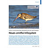 VGEL IM NATIONALPARK NIEDER SCHSISCHES WATTENMEER: NEUES ORNITHO-INFOSYSTEM