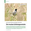 MYSTISCHER SINGVOGEL AM RAND VON EUROPA: DIE INSULARE SCHLEIERGRASMCKE