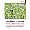 2. BRAUNKEHLCHEN-FACHTAGUNG DES LBV: BRAUNKEHLCHEN ALS INDIKATOR