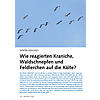 VOGELWELT AKTUELL: WINTER 2020 /2021: WIE REAGIEREN KRANICHE, WALDSCHNEPFEN UND FELDLERCHEN