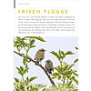 FOTOGALERIE: FRISCH FLGGE
