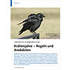 LANGFRISTIGE DAUERBEOBACHTUNG: KRHENJAHRE - REGELN UND ANEK DOTEN