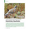 SPUREN UND ZEICHEN EINES SELTE NEN WALDVOGELS: HEIMLICHES HASELHUHN