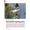 OSTASIATISCHER ZUGWEG: DAS BE DROHTE VOGELZUGSYSTEM, VOGEL JAGD AUF DEM EAAF-ZUGWEG