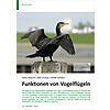 WAS MACHT DER VOGEL OHNE HAND? FUNKTIONEN VON VOGELFLGELN