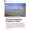 ROHRDOMMELN, WALDRAPPE UND SEE ADLER: DIE SALZACHMNDUNG BEI BURGHAUSEN IN BAYERN