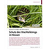 RUMLICH FLEXIBEL UND ERFOLG REICH: SCHUTZ DES WACHTELKNIG S IN HESSEN