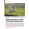 GROSSFLCHIGE WIEDERVERNSSUNG WIESENVOGELSCHUTZ MIT LIFE- FRDERUNG IN NIEDERSACHSEN