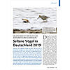 9. BERICHT DER DEUTSCHEN AVIFA UNISTISCHEN KOMMISSION: SELTEN E VGEL IN DEUTSCHLAND 2019