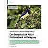 ENDEMISCHE VOGELARTEN IM PRIM RREGENWALD: SERRARIIA SAN RAFA EL NATIONALPARK IN PARAGUAY