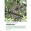 NESTBESETZER UND KLETTERKNST LER: WALDOHREULE
